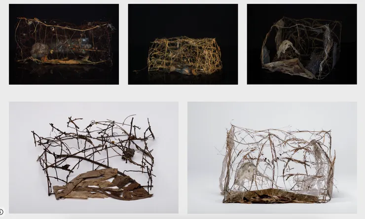 《羽毛是樹》系列作品。攝影:許博彥(願子工作室)。