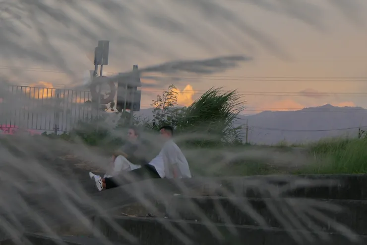 在一旁聊天的男女，芒草當前景，有種朦朧美