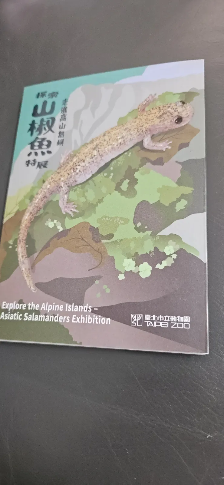 魚