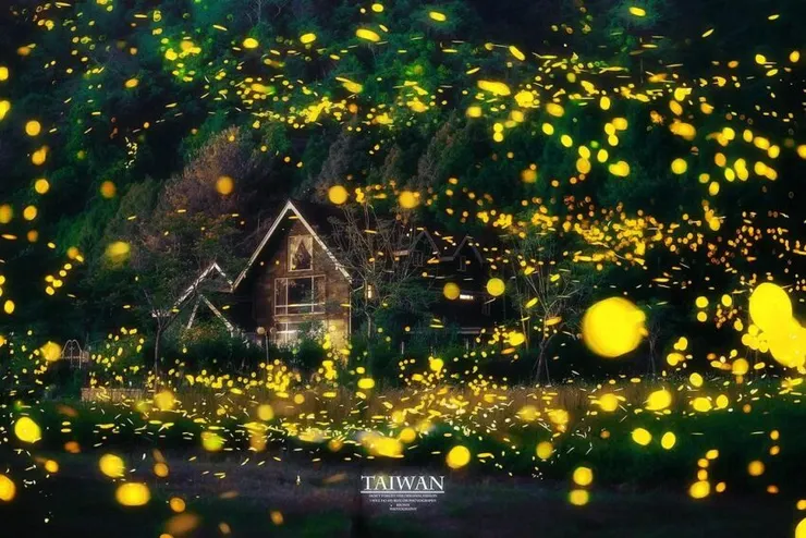 南投螢火蟲景點 2024南投螢火蟲景點|超夢幻南投4大賞螢秘境全攻略 1 2024