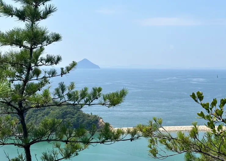 餐廳外看出去的風景。｜2025.08.26拍攝