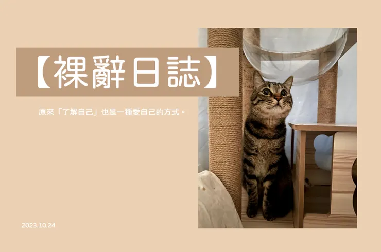 姊姊家的貓