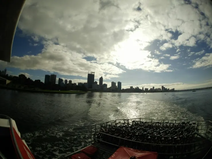 在North Fremantle附近,驚喜發現海豚喔!跟著我們的船在玩水超Q!