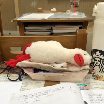 可可鳥窩的沙龍