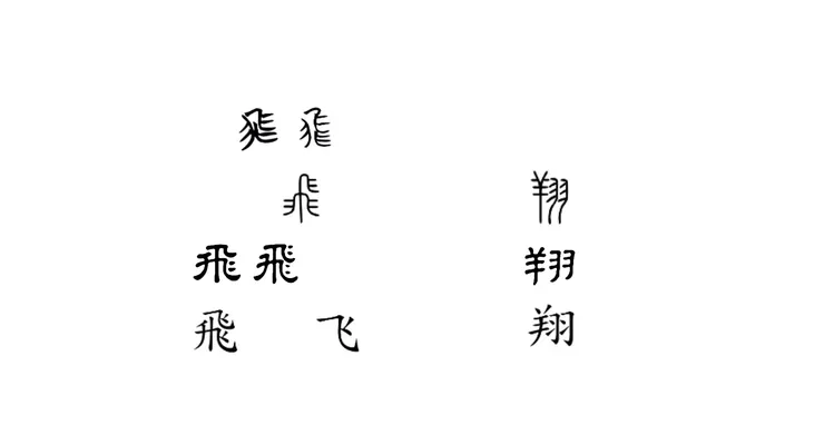 【附圖：「飛、翔」字型演化】