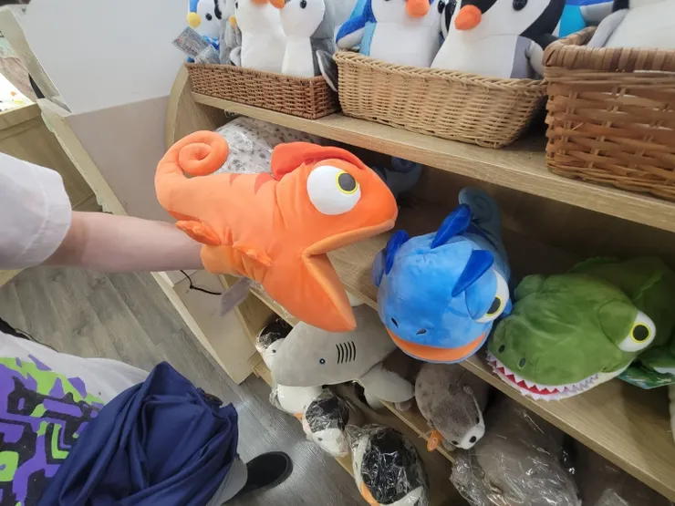 變色龍真的好可愛