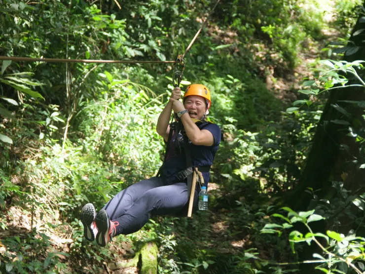 整個森林都是卡蘿的尖叫聲