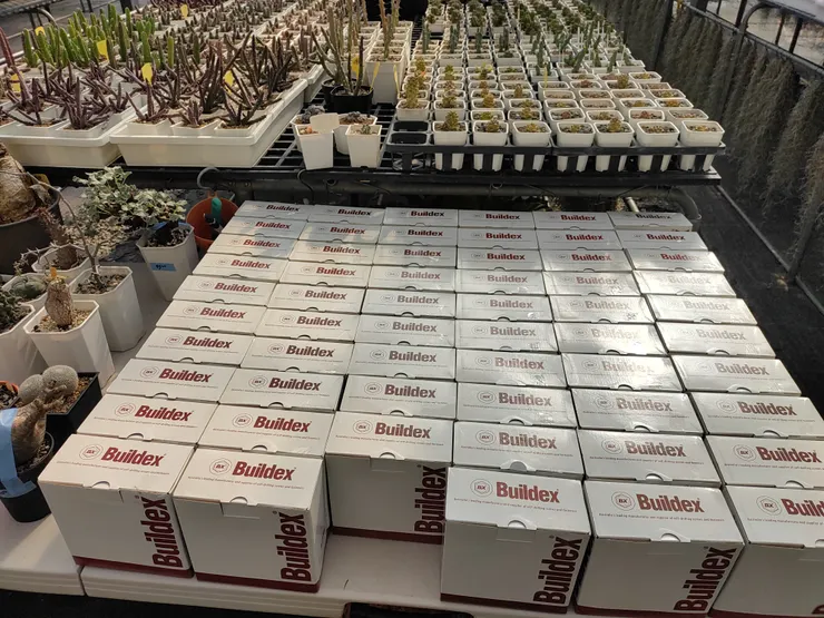 店家準備的盲盒