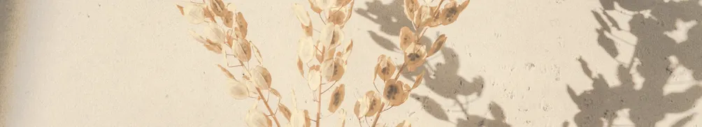 無尾熊太太(OK)的沙龍