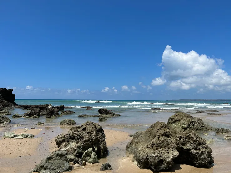 ⟨寄居蟹聚集地區⟩