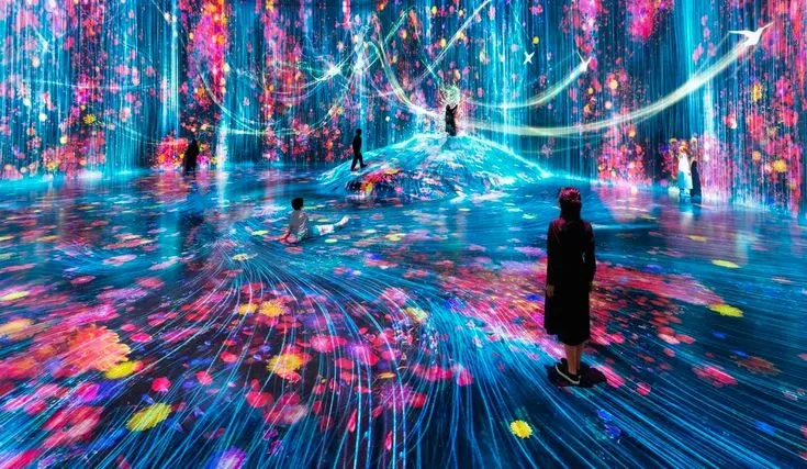 teamLab Planets vs. teamLab Borderless