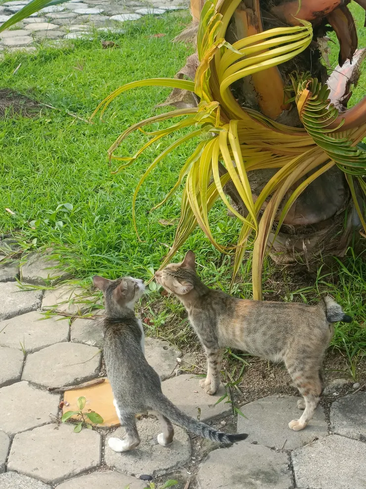 有機會我還要再去宿霧玩~~~~~~