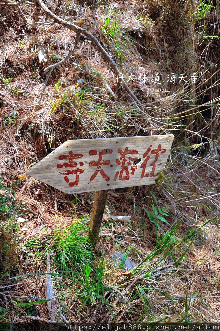 【丹大林道.六順山.七彩湖】七彩湖的日出.海天寺.光華復旦紀