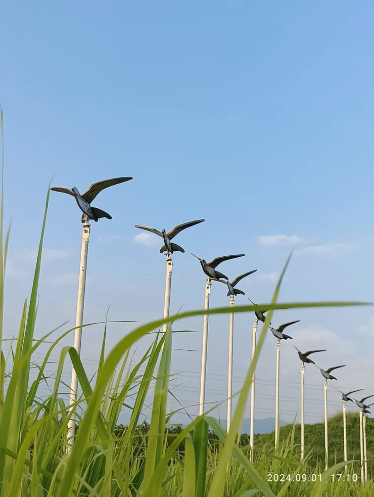 林後平地森林自拍攝