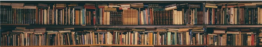 關於指數化投資的補充說明的沙龍