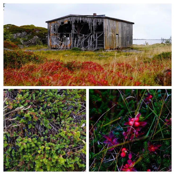 秋天的羅弗敦是多姿多彩的