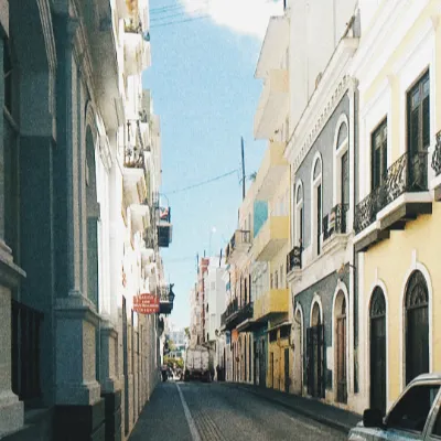 失眠的漂流木的沙龍