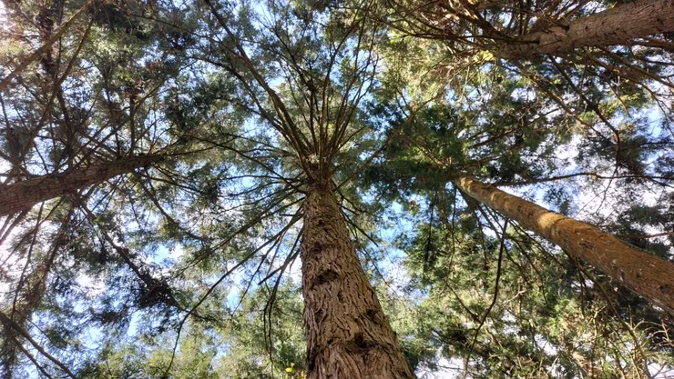 冬日衫美/Mingling攝