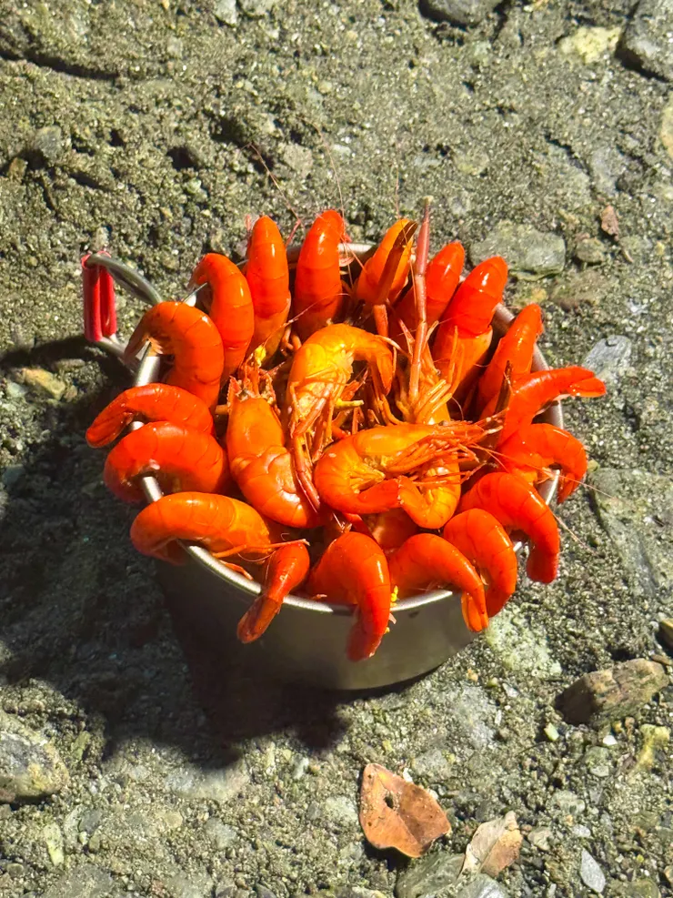 吊在杯子上好像更好吃了~😝