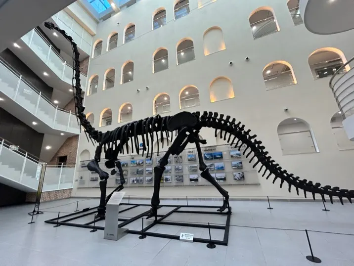 博物館一樓放著恐龍化石