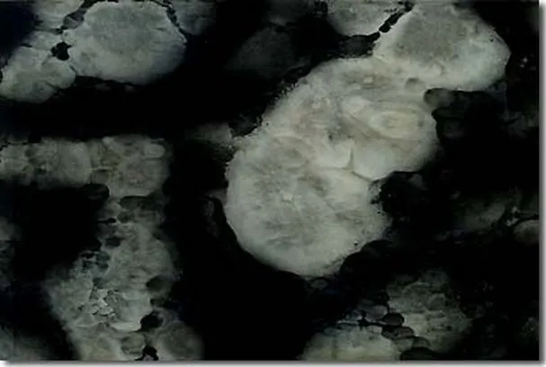 Tai-Hu Jade by H.H. Dorje Chang Buddha III