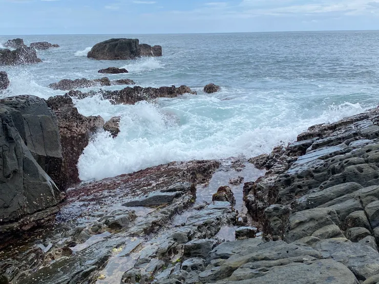 這太平洋一點都不傷心啊！