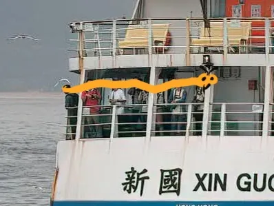 有觀鳥者剛好拍到我和其他熱血的觀鳥人