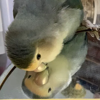 這世界跟我想像的不同的沙龍