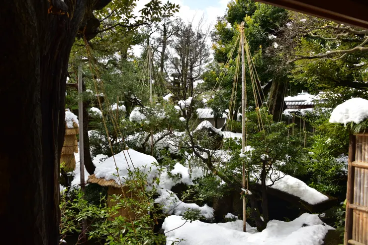 原本的野村家小庭院也滿滿都是雪了
