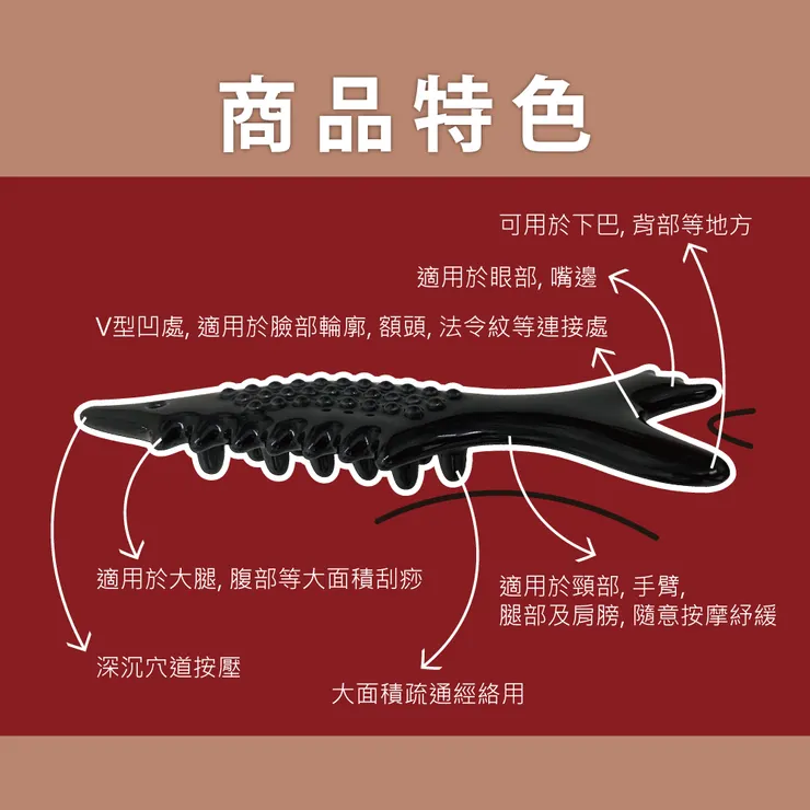 ✦✎手把手教學時間✦✎