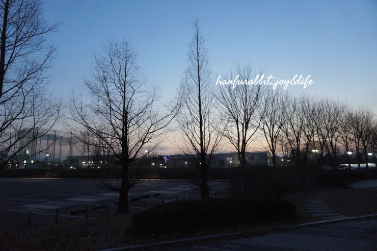 宿舍前的停車場