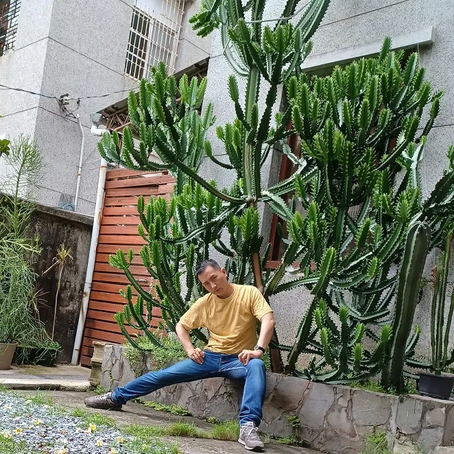 無關內容的圖片