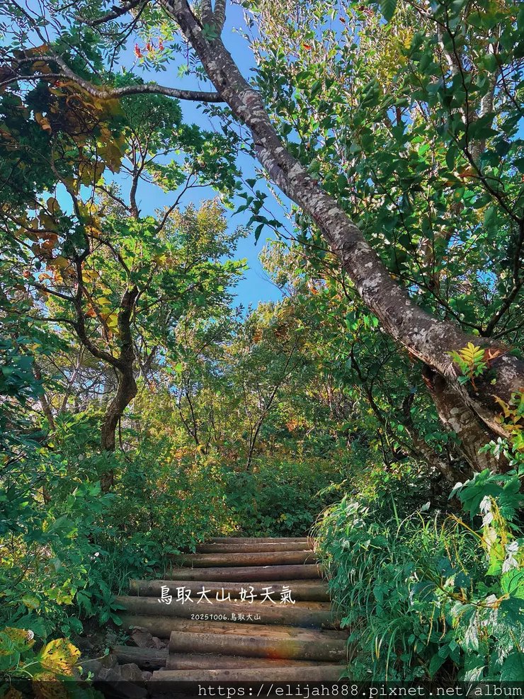 【2025初秋.鳥取県大山町登山趣】夏日登山口/海拔1709