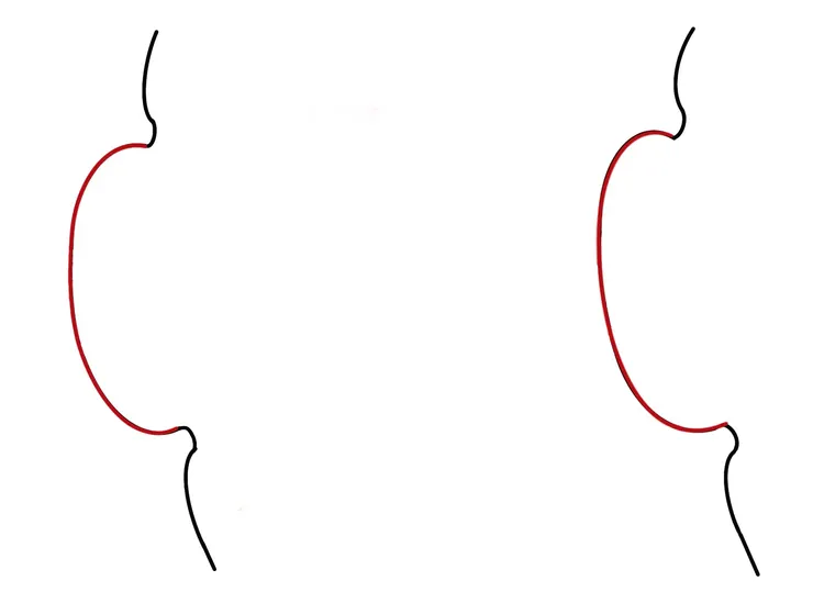 這是提琴 C 腰 的線稿。在右側的圖中，可以看到上角木內縮較為急促、曲率較小，所呈現出的視覺效果。
