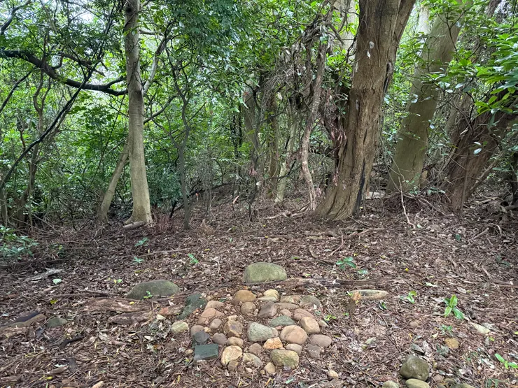 2025/12/31 去看圓圓