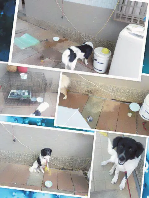 有年代的圖，但問題依舊存在