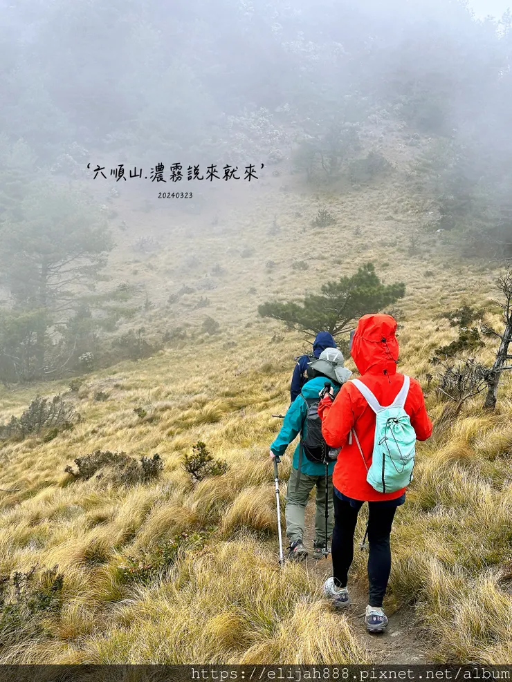 【丹大林道.六順山.七彩湖】六順山.海拔3009公尺/波波草