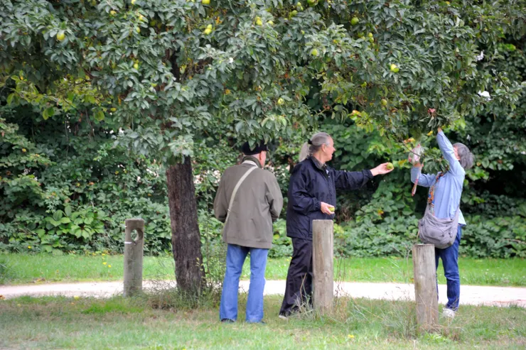 【驅車十分鐘到聖科斯姆修道院！抵達時除了我們，只有一對老夫婦在庭院摘蘋果，老太太還送一粒給老婆。】