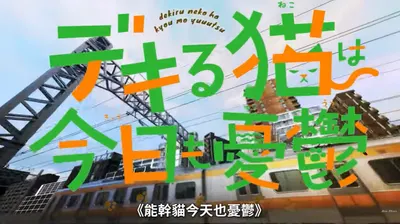 這樣的貓咪我也需要啊!