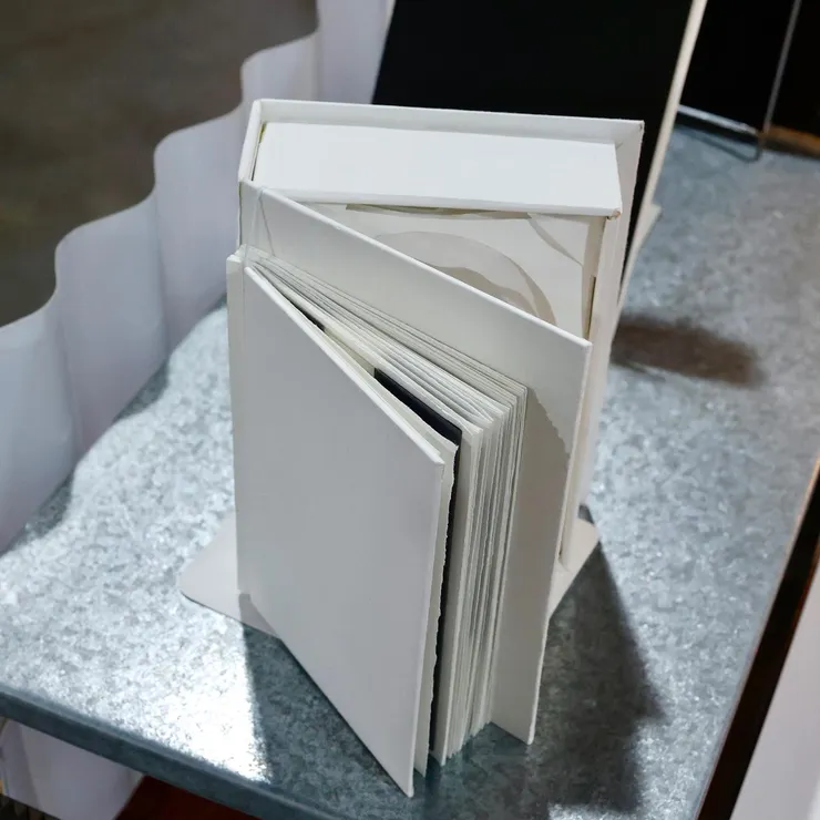 讓女生受傷的是蘇槿芸的作品《冬至》