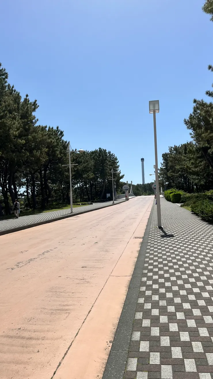 感覺有點距離，但看海景其實一下就過了。