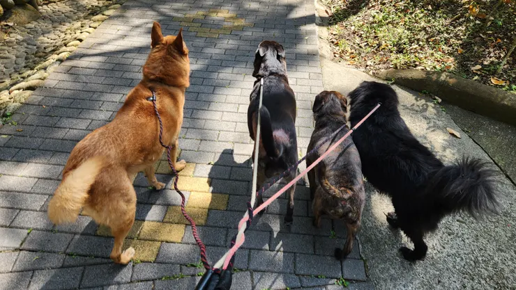 不管遇到什麼，我們都要一起走下去