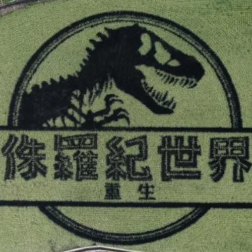 用稻田做出電影LOGO