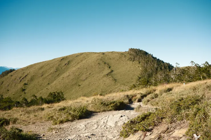 終於看見最後的緩坡，翻過去就是三叉路口了！雖然上上下下挺折磨的，但沿路的風景可以抵消這份痛苦