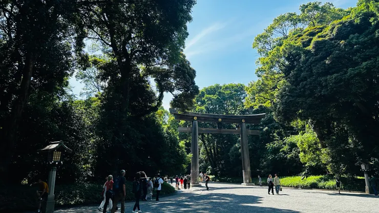 明治神宮的大鳥居