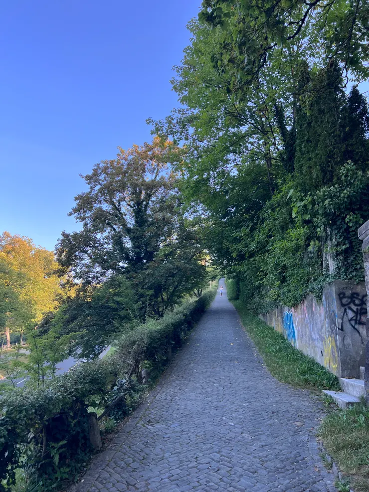 走向玫瑰園的小路