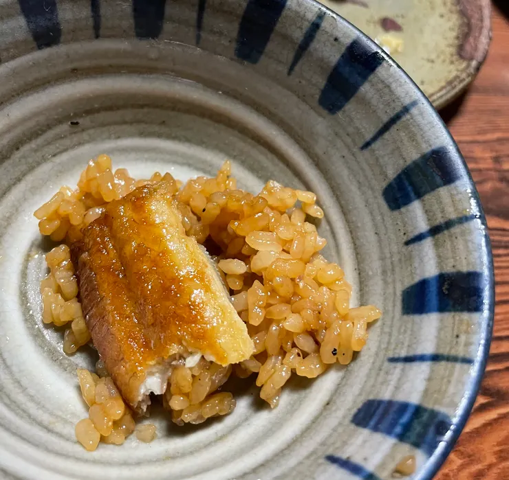 這鰻魚飯是否看起來美味到犯法