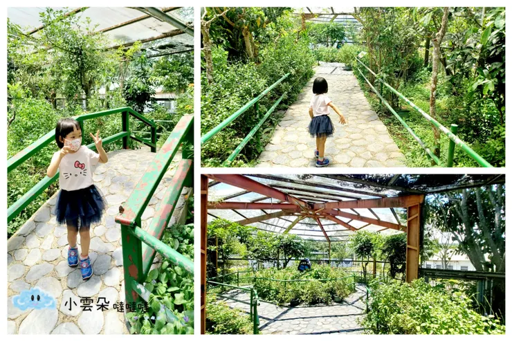 園區頂部是透光的，所以光線充足明亮