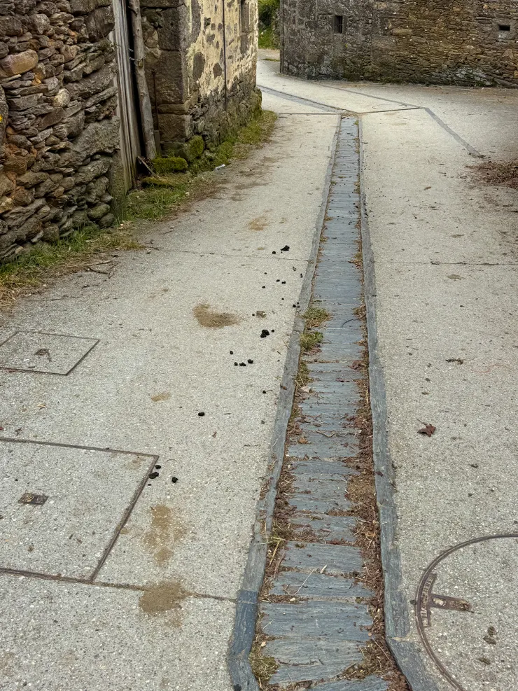 進入小村落前必定有屎和屎味🤭