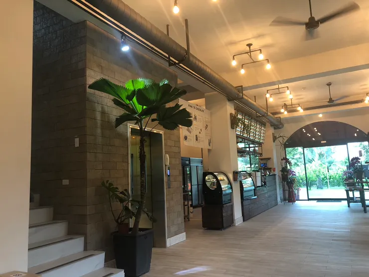 裝潢以輕工業風格搭配許多綠色植物